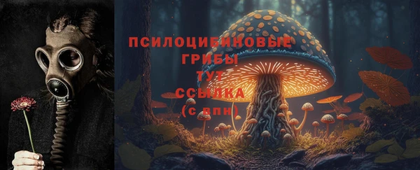 шишки Балабаново