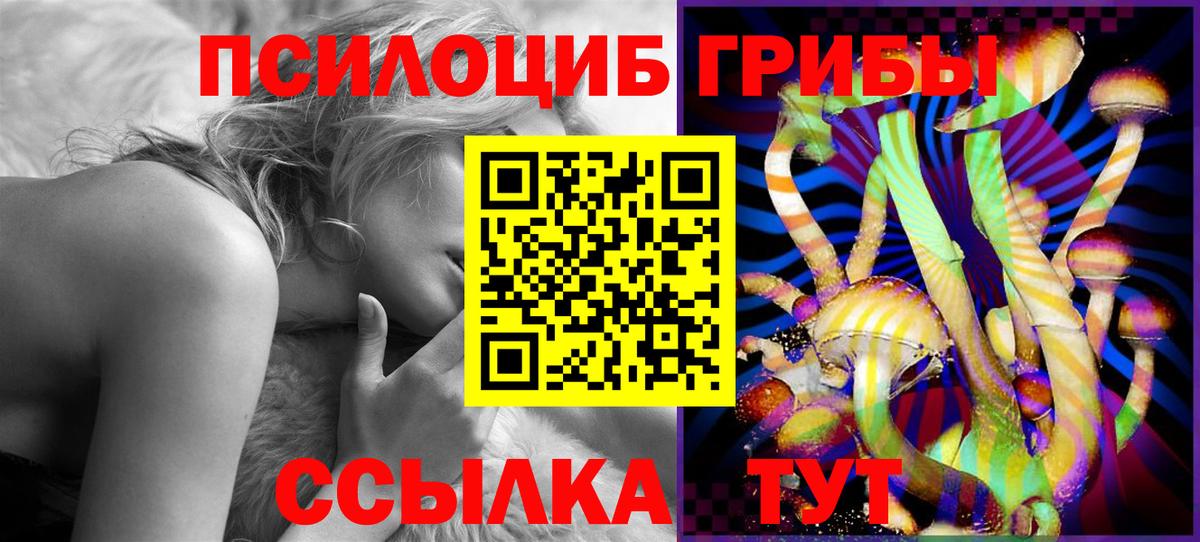 Строитель  Галлюциногенные грибы Magic Shrooms  Вход с VPN 