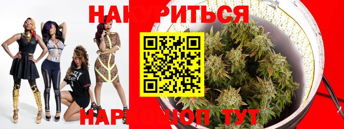 Шишки марихуана ГИДРОПОН Строитель